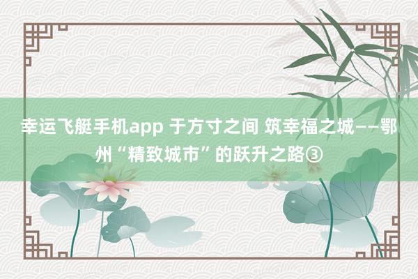 幸运飞艇手机app 于方寸之间 筑幸福之城——鄂州“精致城市”的跃升之路③
