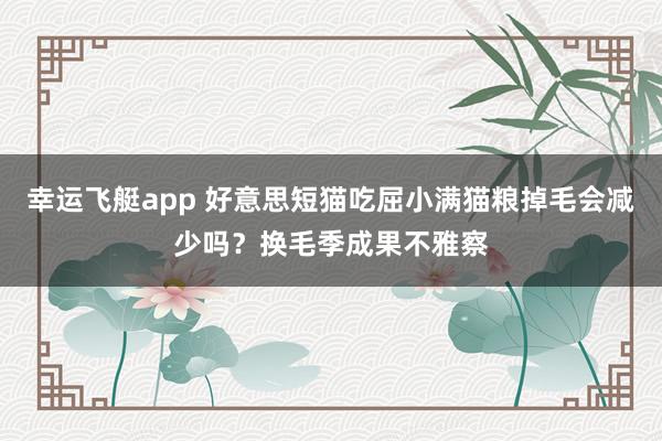 幸运飞艇app 好意思短猫吃屈小满猫粮掉毛会减少吗？换毛季成果不雅察